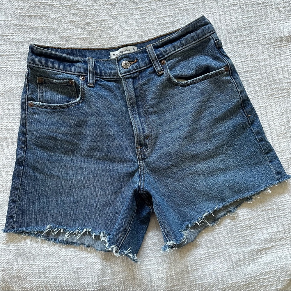 Abercrombie & Fitch | The dad short